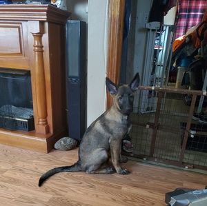 Meet your Posher, Tina